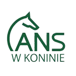 logo akademi nauk stosowanych